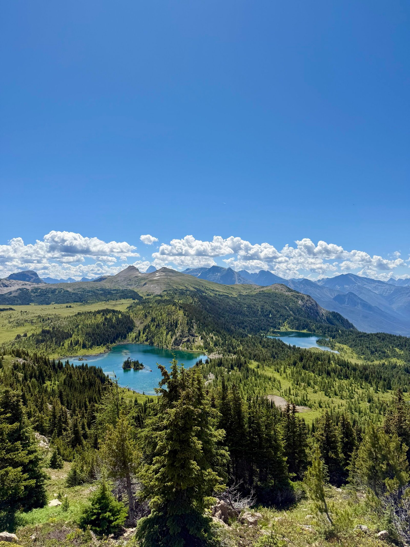 Sunshine Meadows Hike Guide | Banff National Park
